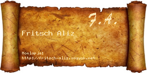 Fritsch Aliz névjegykártya
